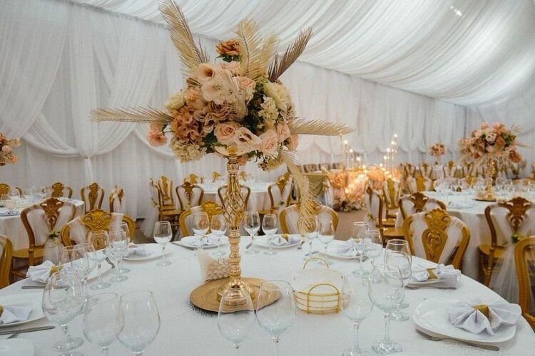 Lolu Events