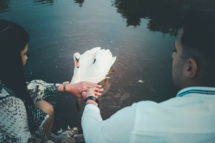 AF Fiction PhotoArt