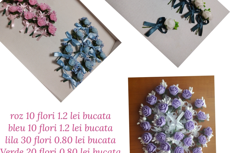 SC Lorena flower