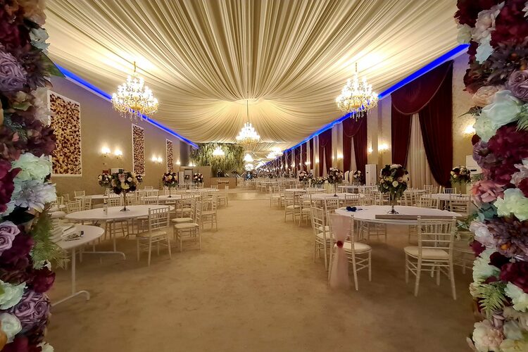 Anomis Events & More