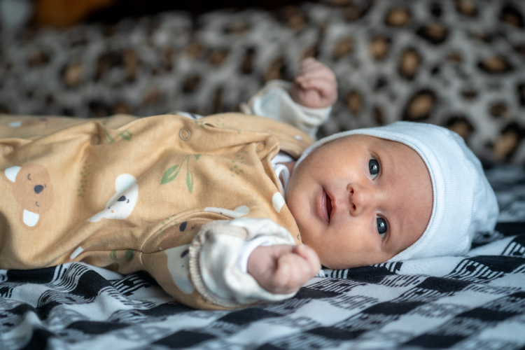 Stoica David-Christian Photographer