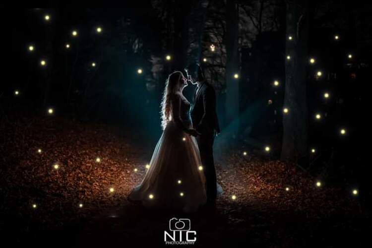 NIC Films & Photography
