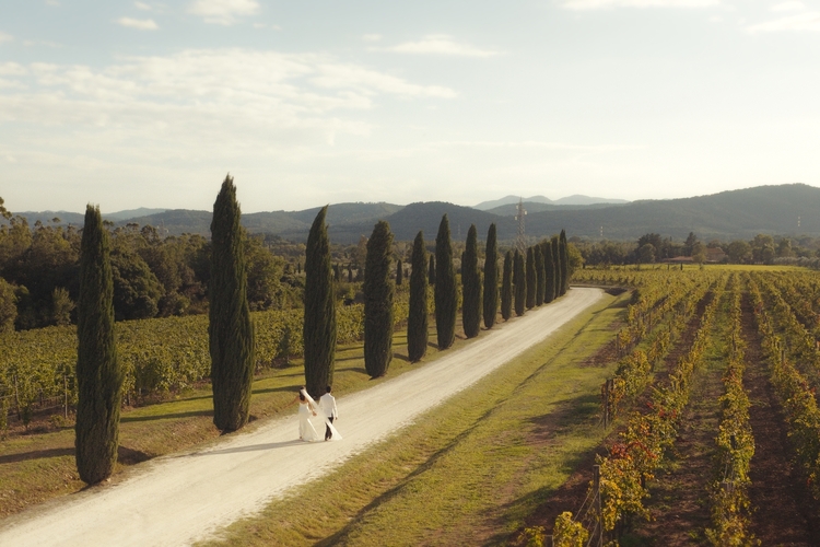 Ion Marin Wedding Videography