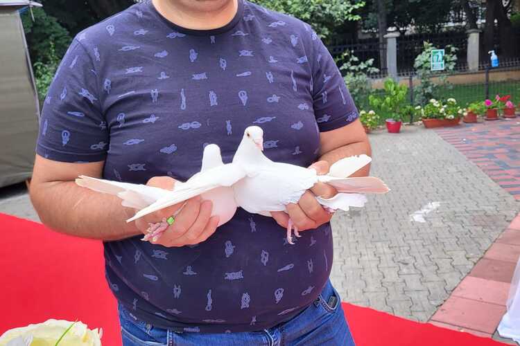 Porumbei albi și fum greu 