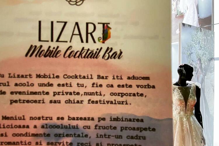 LizArt-MobileCocktailBar