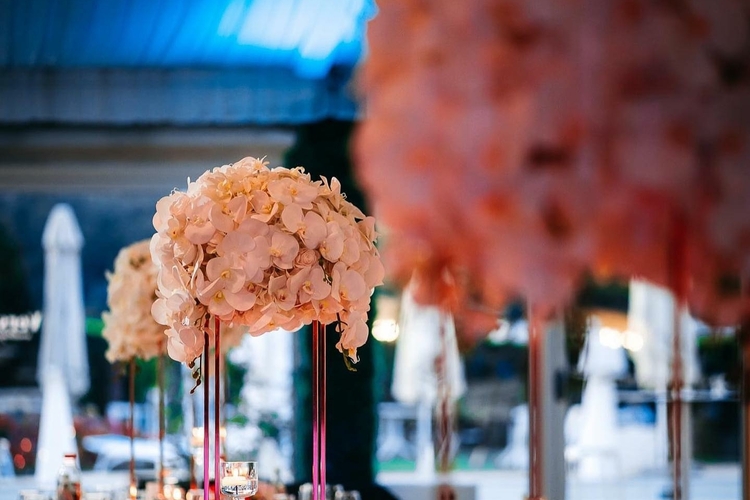 Versailles Weddings & Events