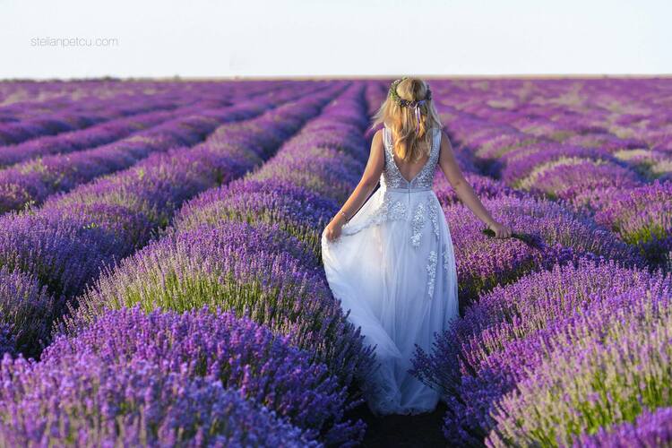 Stelian Petcu - Fotograf Profesionist