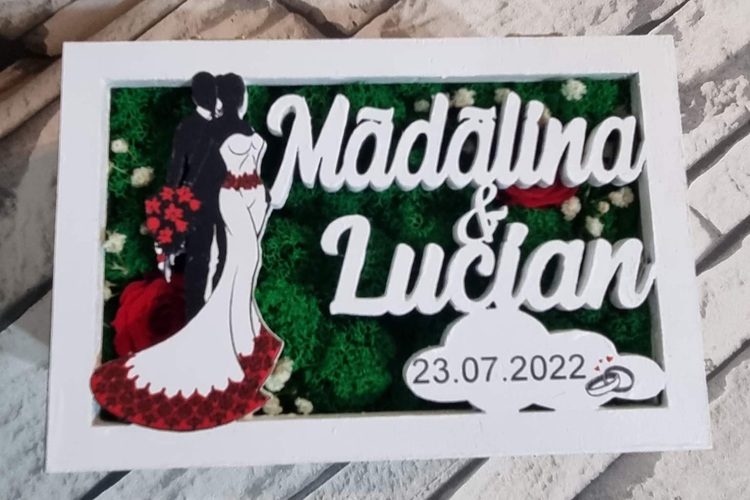Tablouri Și Aranjamente Cu Licheni 